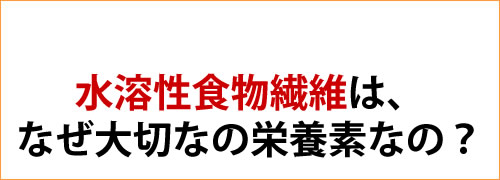 水溶性食物繊維