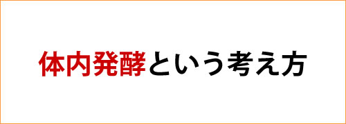 体内発酵