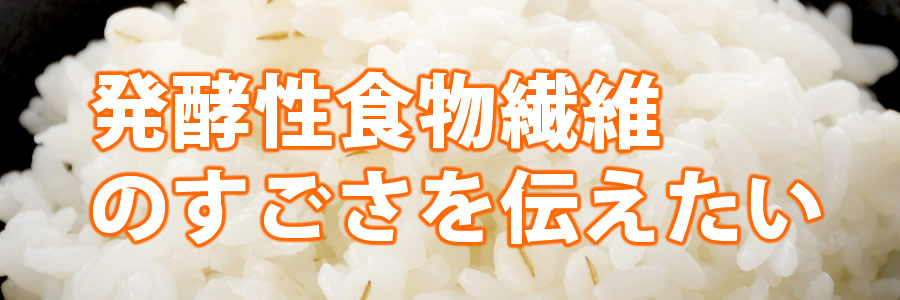 発酵性食物繊維