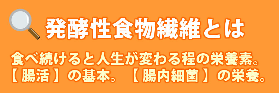 発酵性食物繊維