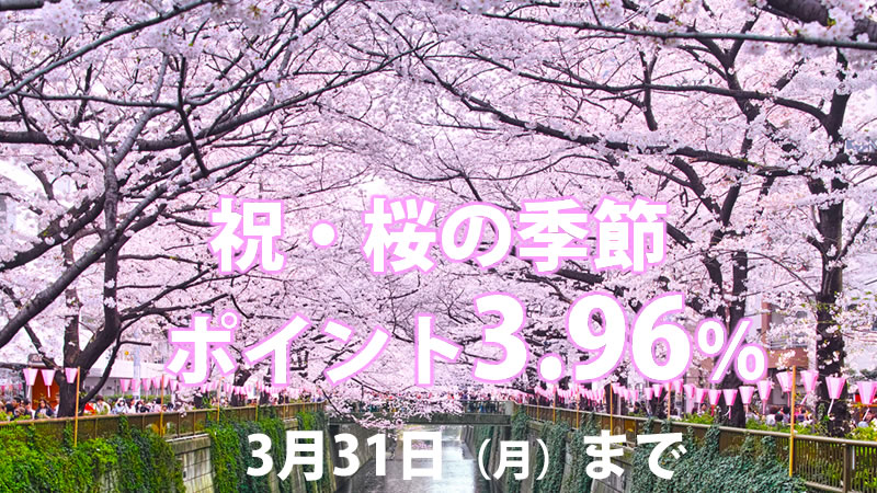桜の季節