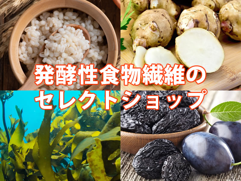 食物繊維