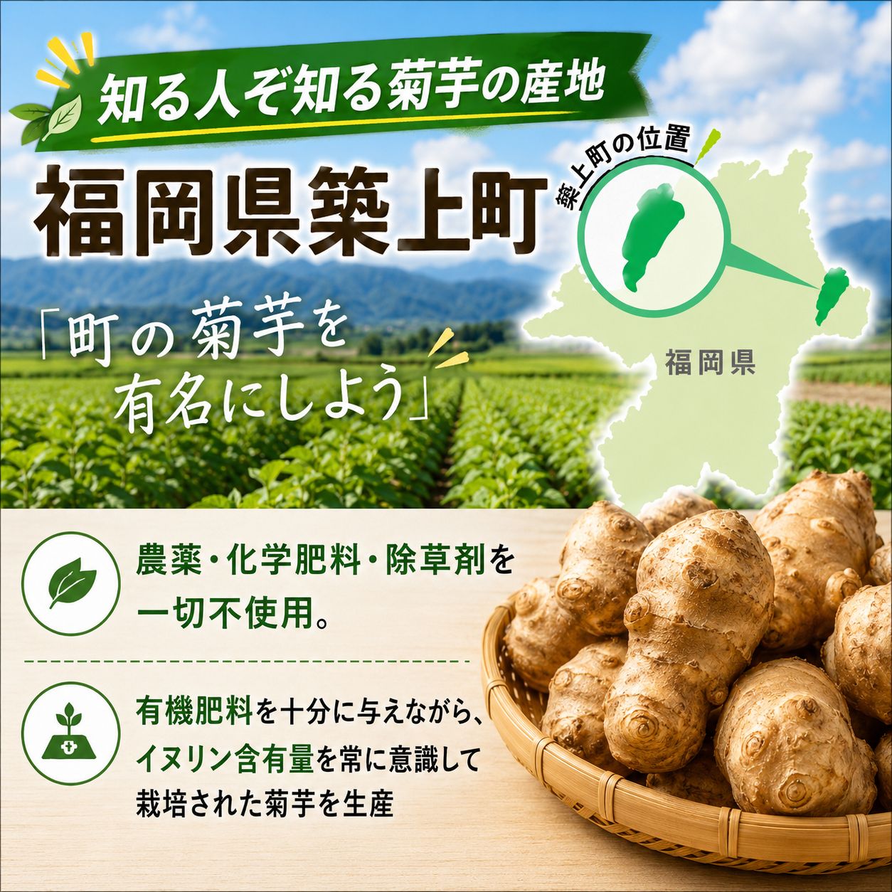 菊芋フレーク