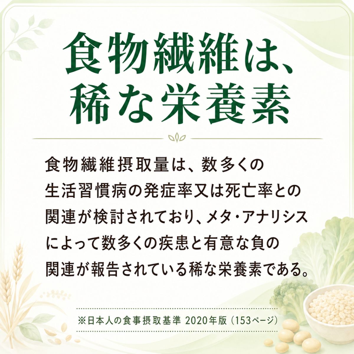 発酵性食物繊維