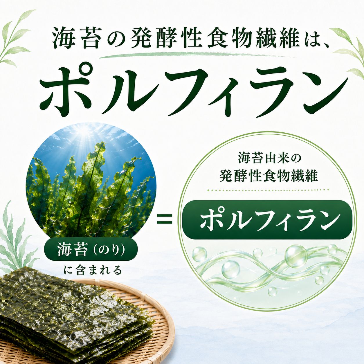 漁師のまかない海苔