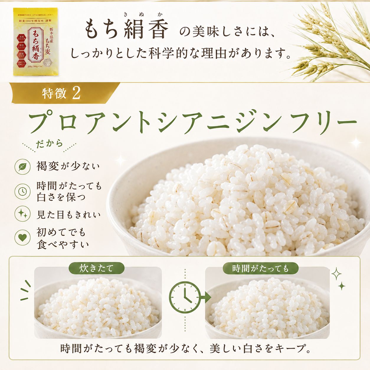 もち絹香