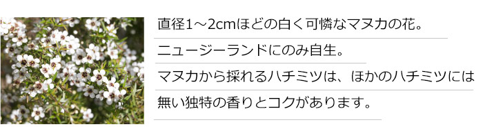 マヌカハニー100＋＆レザーウッドハニー 200g