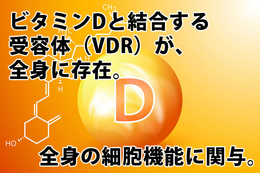 ビタミンD
