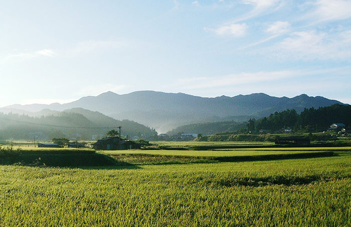 島根県産　低温圧搾生しぼり　えごま油