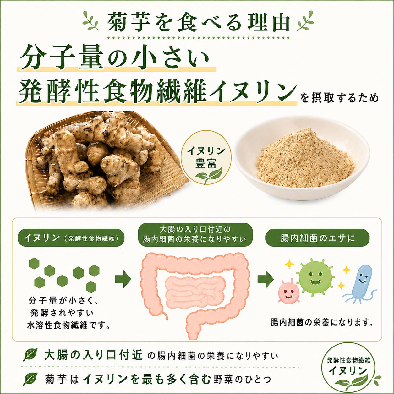 菊芋まるごと