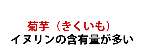 菊芋
