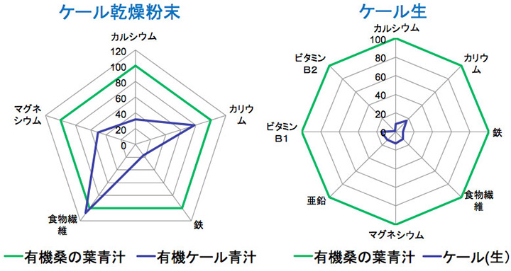 桜江町有機桑パウダー 100g