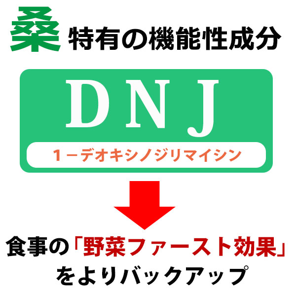 桜江町有機桑パウダー 100g