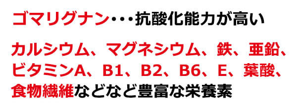 【信州ごま】ねりごま黒 70g