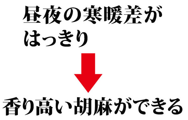 【信州ごま】ねりごま黒 70g