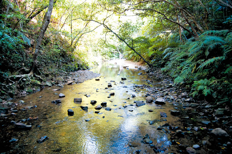 大宜見村