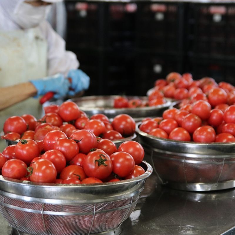 北海道当麻町産  有機トマトジュース無塩