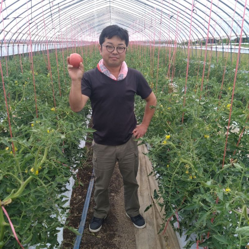 北海道当麻町産  有機トマトジュース無塩