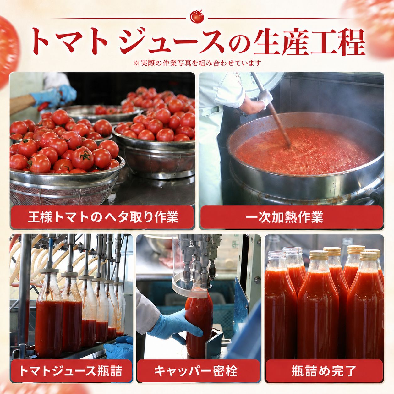 北海道当麻町産 有機トマトジュース無塩
