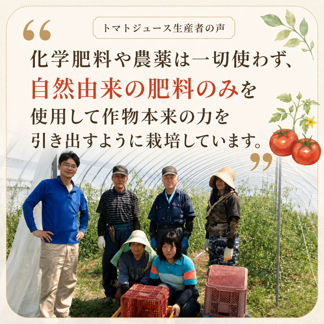 北海道当麻町産 有機トマトジュース無塩