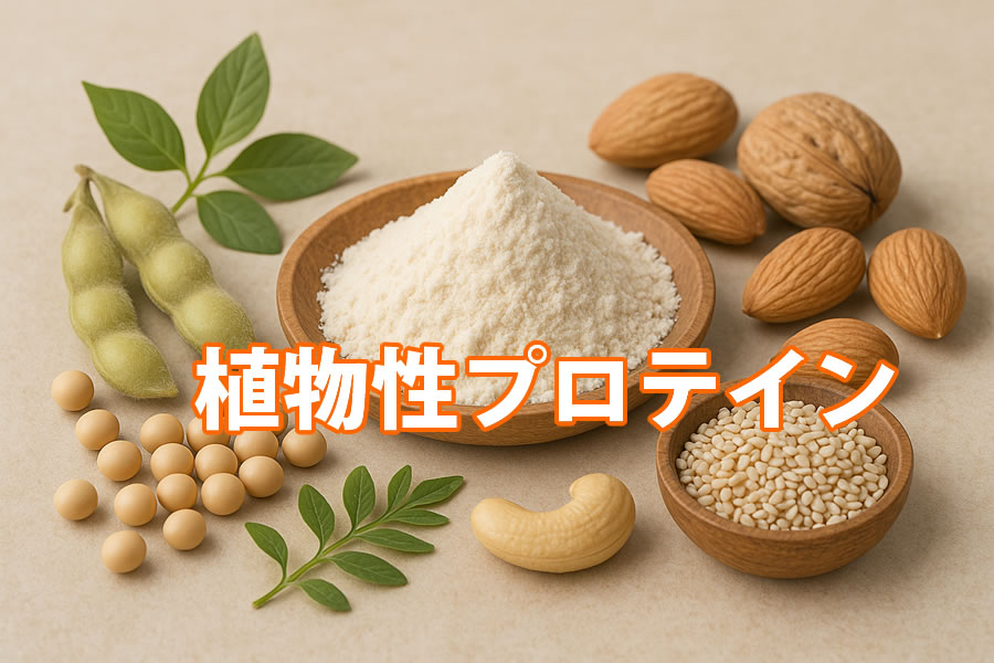 植物性プロテイン