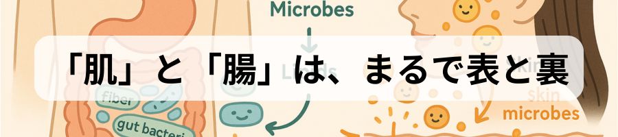 皮膚マイクロバイオーム