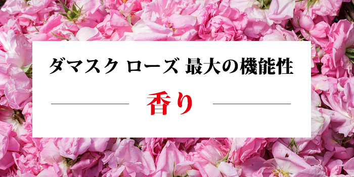 ダマスク ローズウォーター オーガニック 150ml