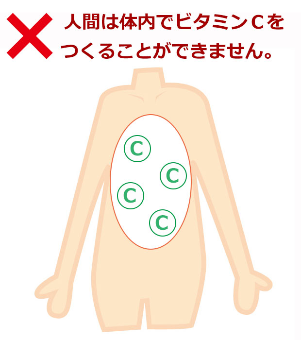 ワカサプリ ビタミンC