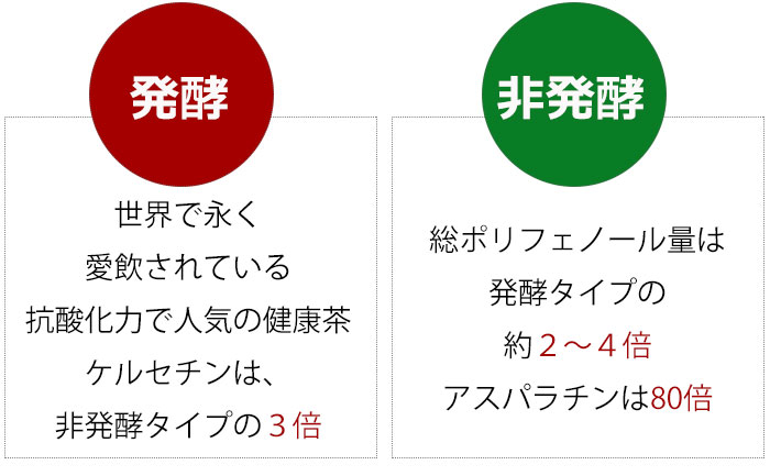 発酵タイプと非発行タイプとの比較