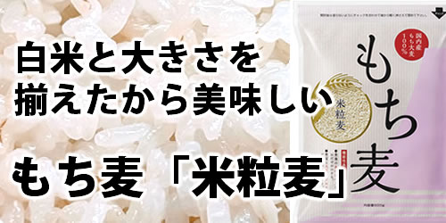 もち麦 米粒麦
